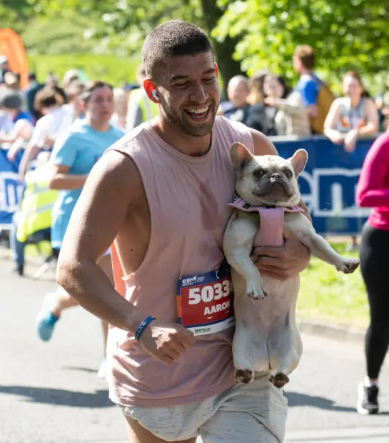 fiit-information-image